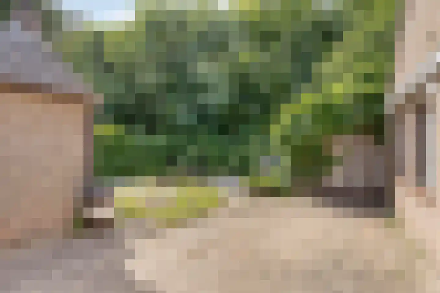 Broekstraat 11 Geffen thumbnail 26