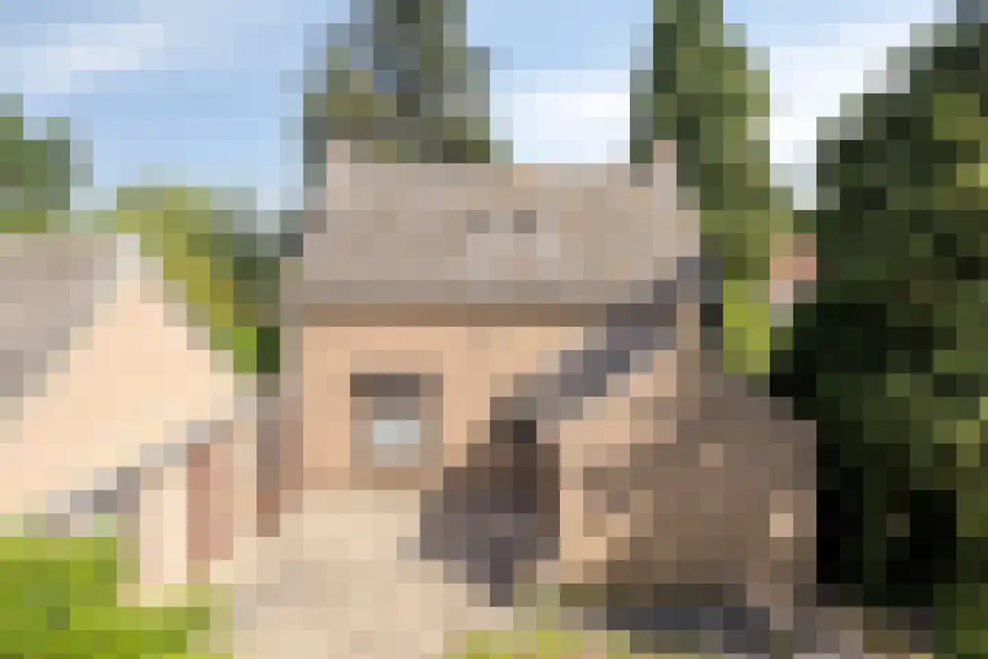Broekstraat 11 Geffen thumbnail 30