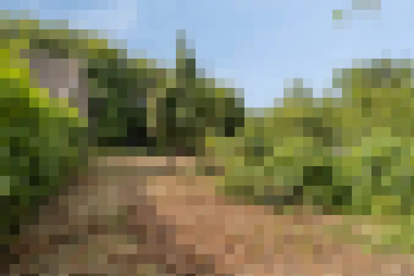 Broekstraat 11 Geffen thumbnail 33