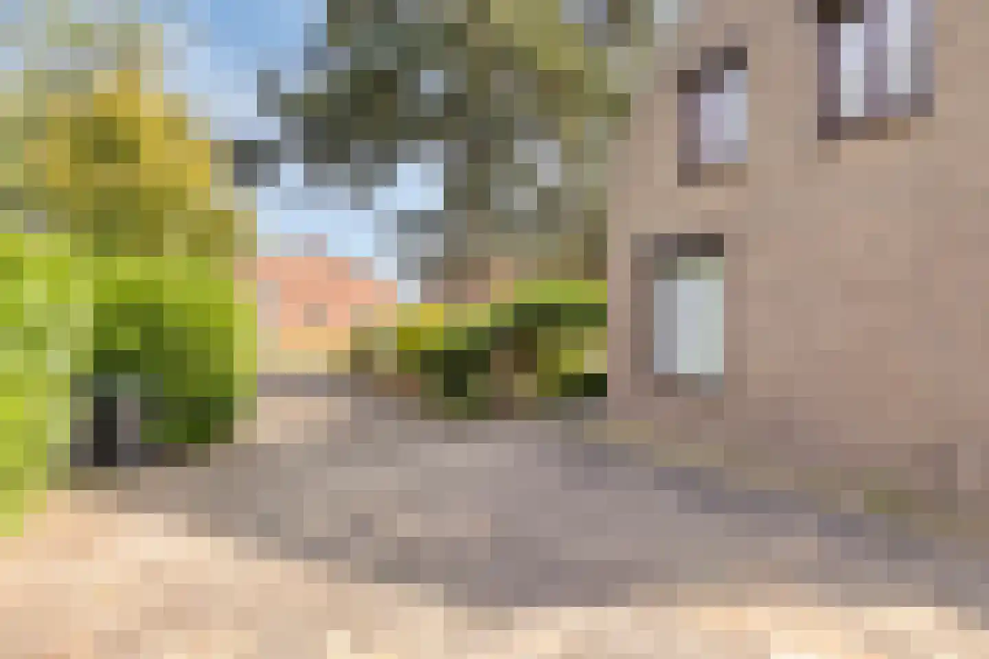 Broekstraat 11 Geffen thumbnail 35