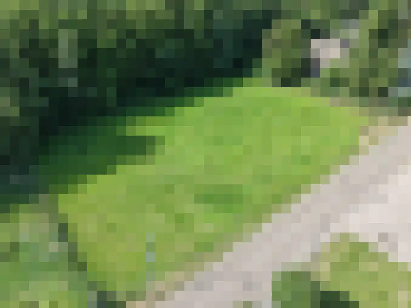 Broekstraat 11 Geffen thumbnail 43