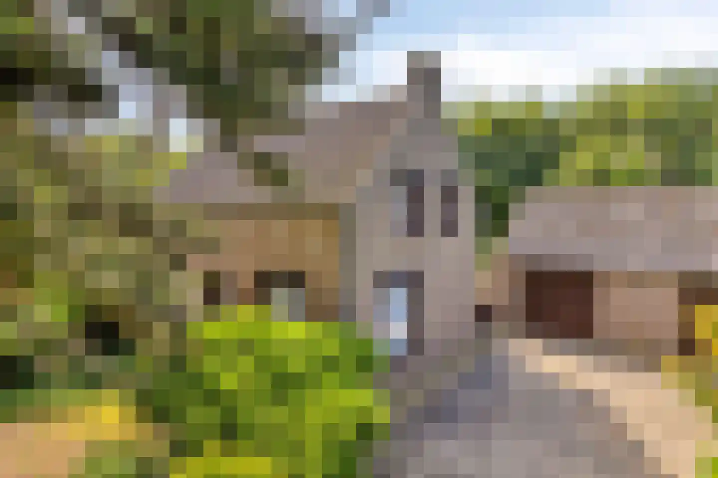 Broekstraat 11 Geffen thumbnail 45