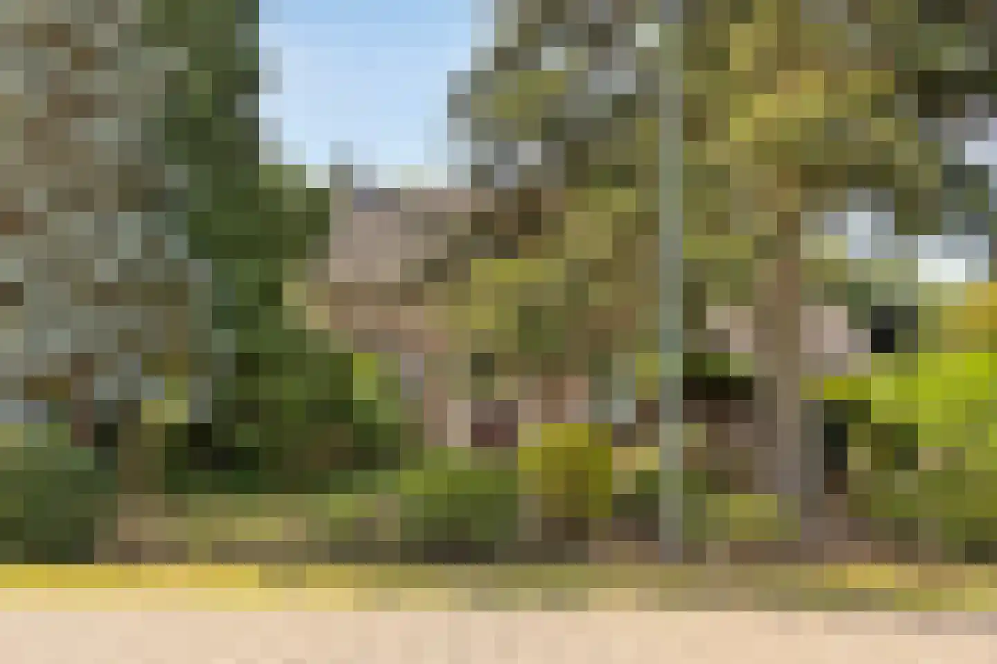 Broekstraat 11 Geffen thumbnail 48