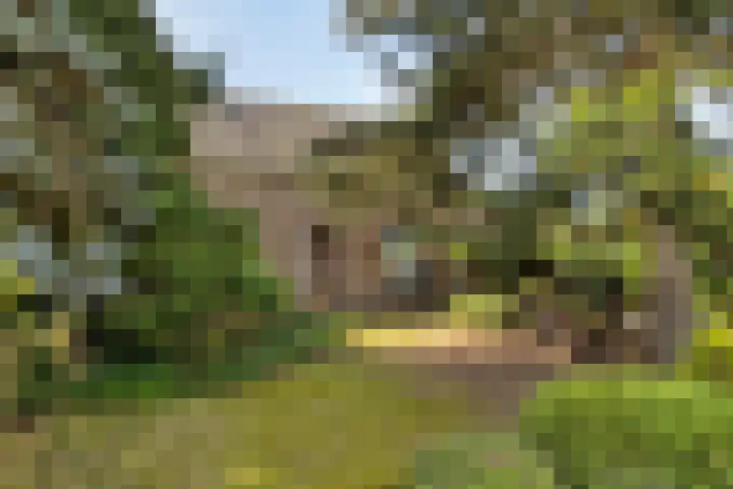 Broekstraat 11 Geffen thumbnail 49