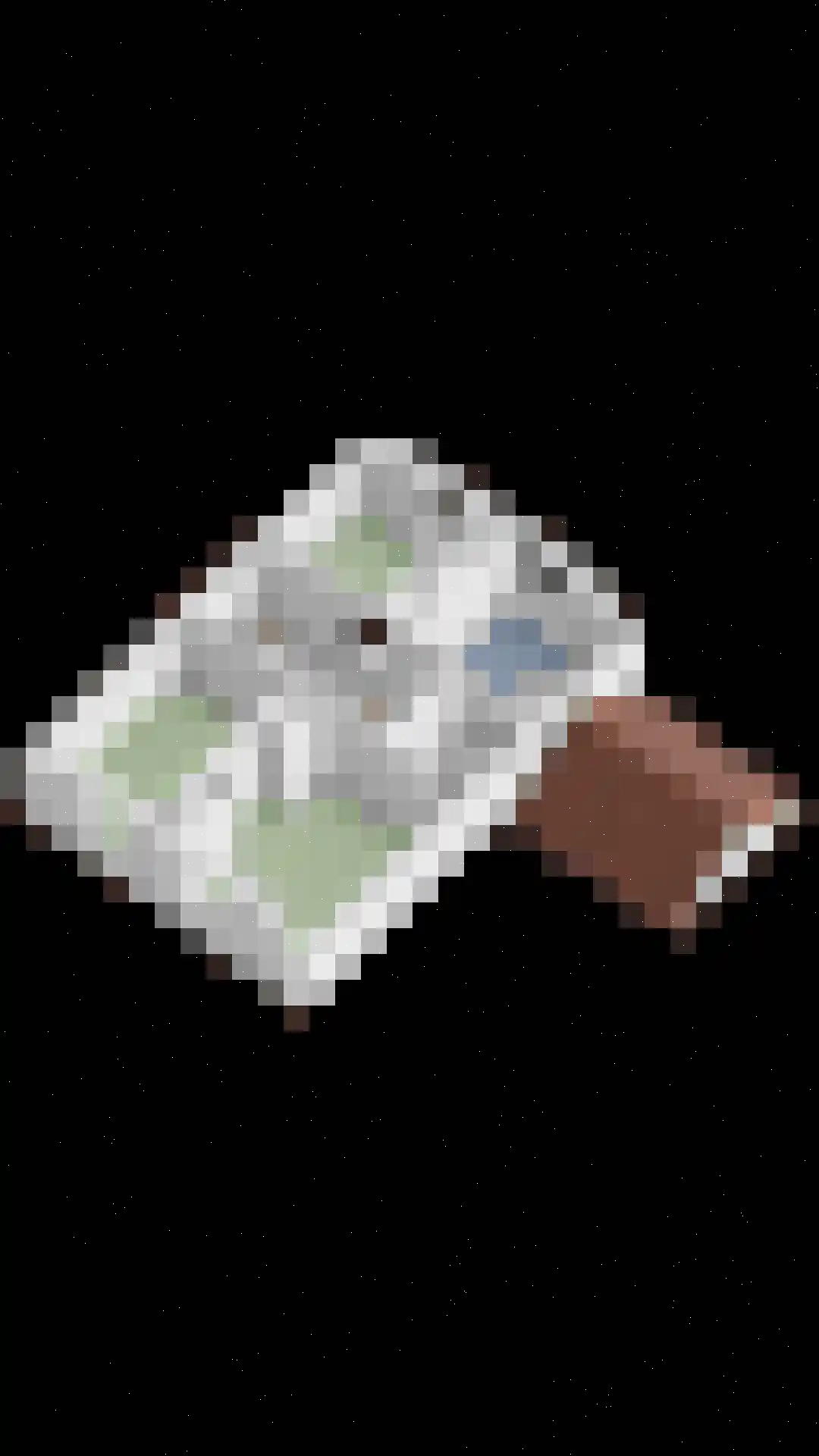 Broekstraat 11 Geffen thumbnail 55