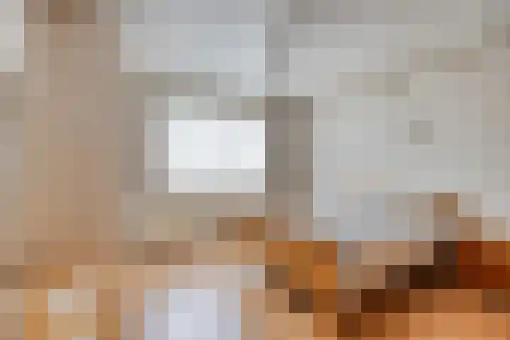 Broekstraat 11 Maasbracht thumbnail 13