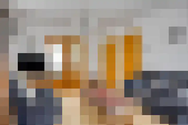 Broekstraat 11 Maasbracht thumbnail 4