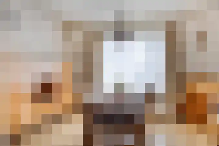 Broekstraat 11 Maasbracht thumbnail 6