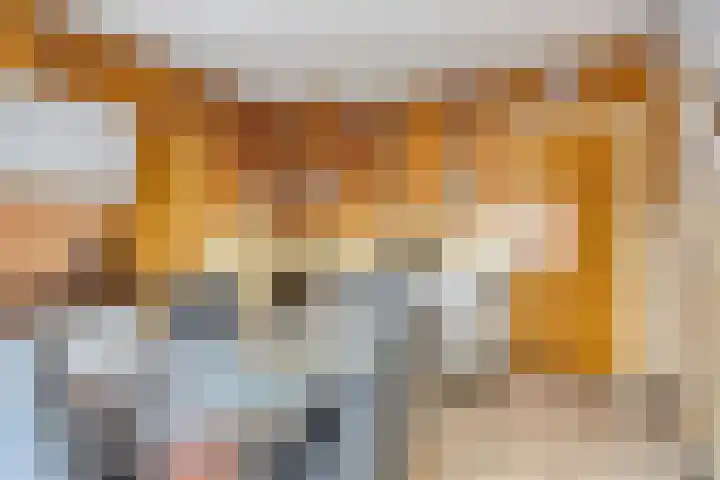 Broekstraat 11 Maasbracht thumbnail 8
