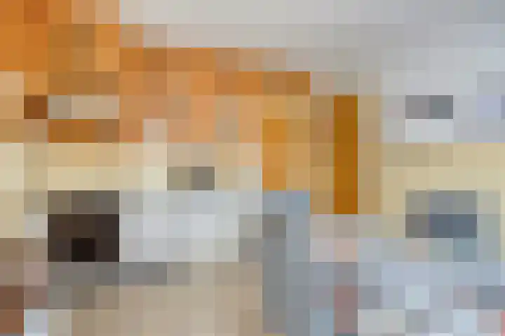 Broekstraat 11 Maasbracht thumbnail 9