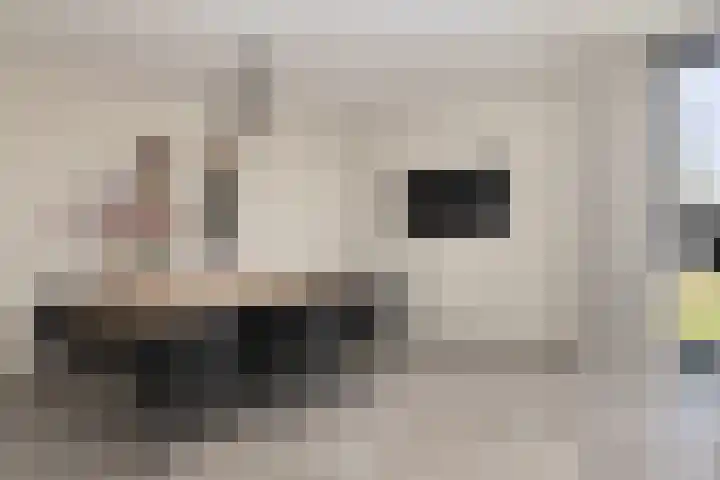 Broekstraat 11 Wehl thumbnail 13