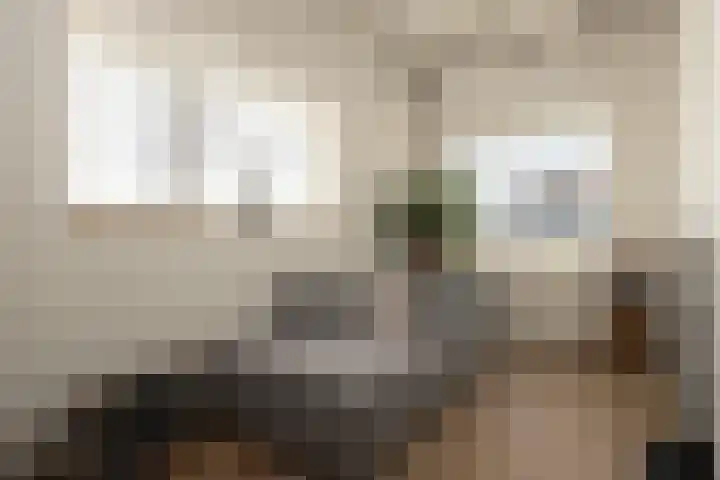 Broekstraat 11 Wehl thumbnail 16