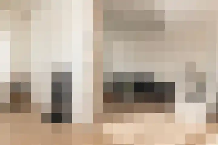 Broekstraat 11 Wehl thumbnail 18