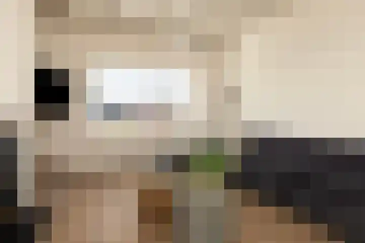 Broekstraat 11 Wehl thumbnail 20