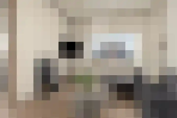 Broekstraat 11 Wehl thumbnail 21