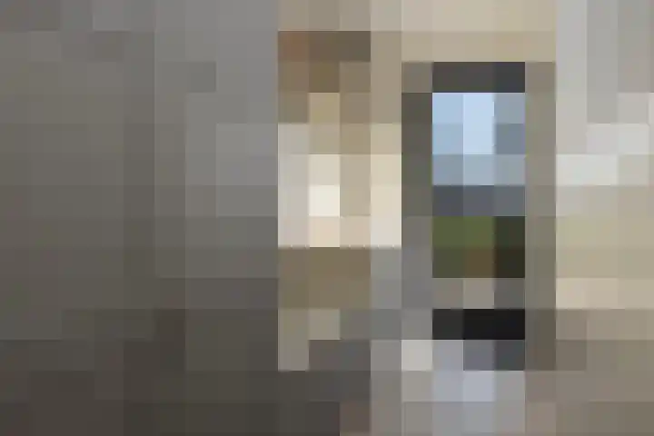 Broekstraat 11 Wehl thumbnail 23