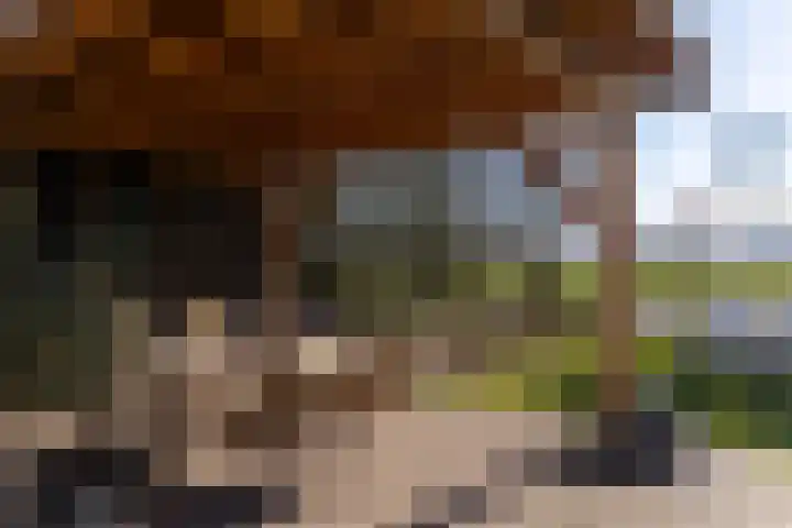Broekstraat 11 Wehl thumbnail 29