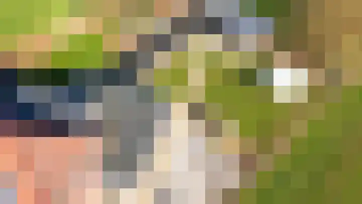 Broekstraat 11 Wehl thumbnail 31