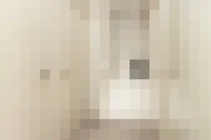 Broekstraat 11 Wehl thumbnail 32