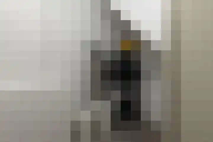 Broekstraat 11 Wehl thumbnail 34