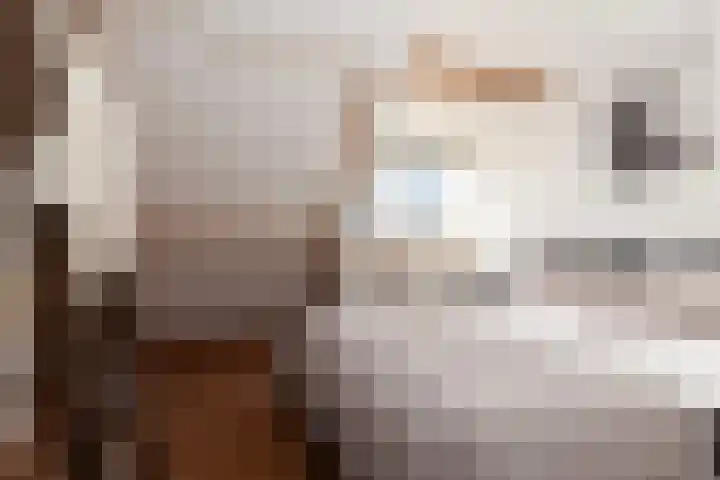 Broekstraat 11 Wehl thumbnail 37