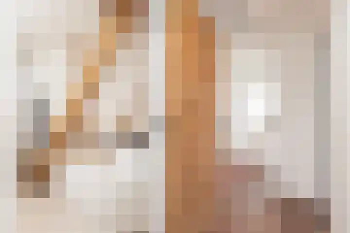 Broekstraat 11 Wehl thumbnail 41