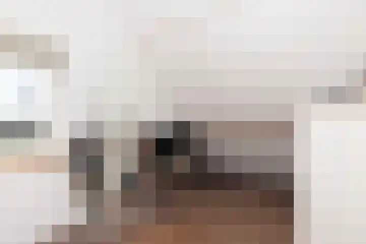 Broekstraat 11 Wehl thumbnail 43