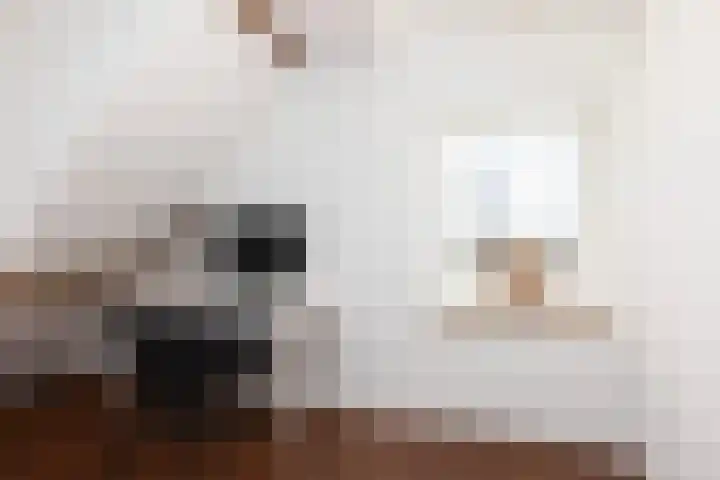 Broekstraat 11 Wehl thumbnail 46
