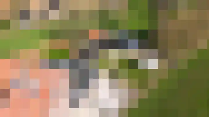 Broekstraat 11 Wehl thumbnail 52