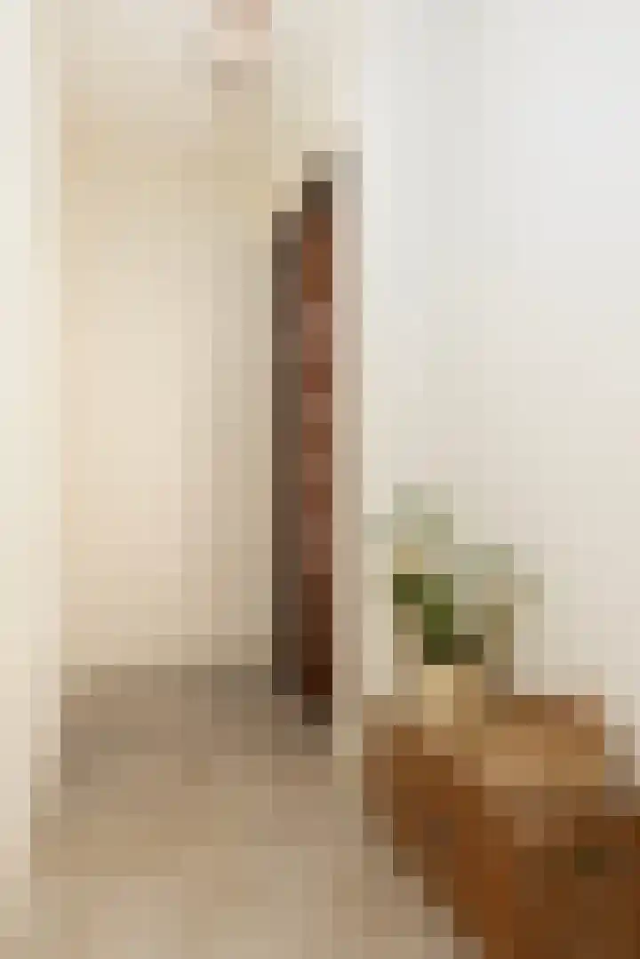 Broekstraat 11 Wehl thumbnail 7