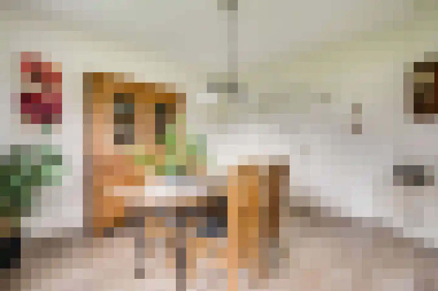 Broekstraat 13 Horn thumbnail 13