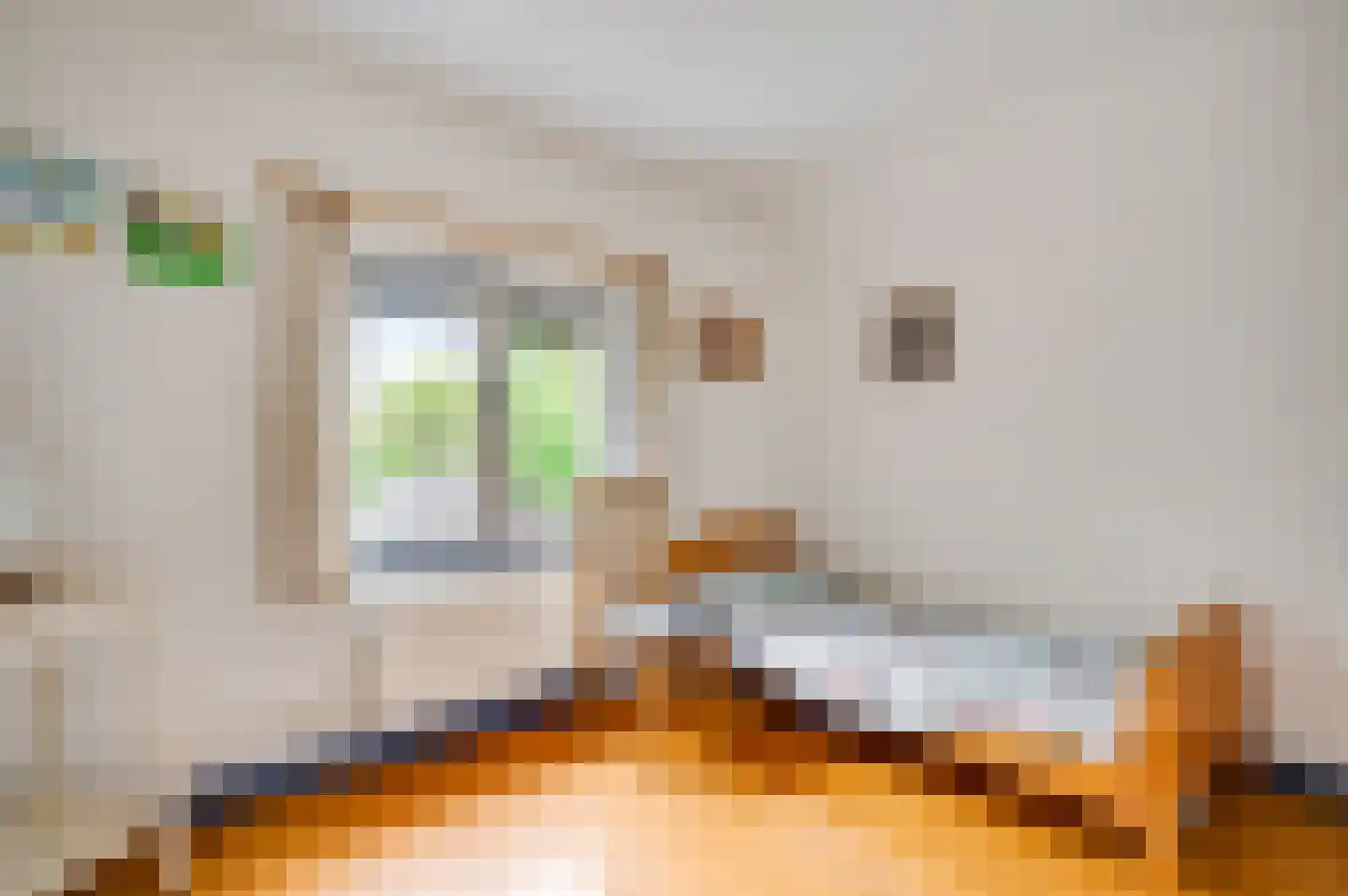 Broekstraat 13 Horn thumbnail 28