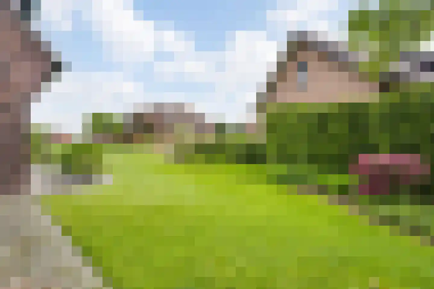 Broekstraat 13 Horn thumbnail 33