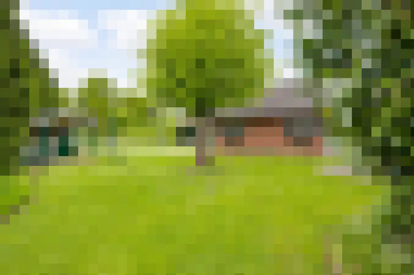 Broekstraat 13 Horn thumbnail 34