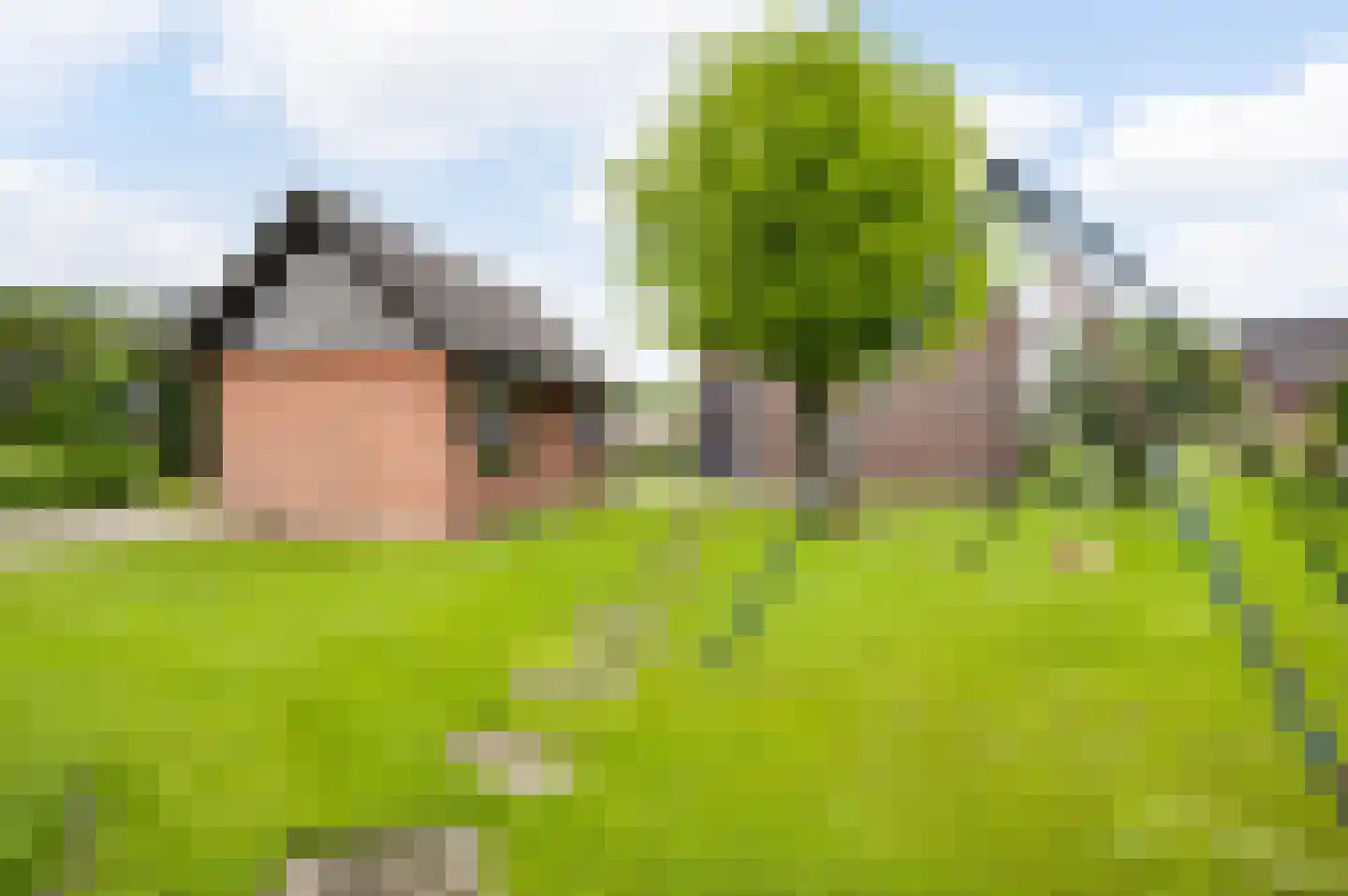 Broekstraat 13 Horn thumbnail 35