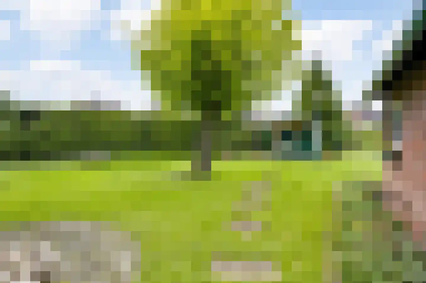 Broekstraat 13 Horn thumbnail 4