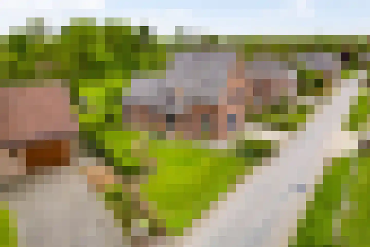 Broekstraat 13 Horn thumbnail 42