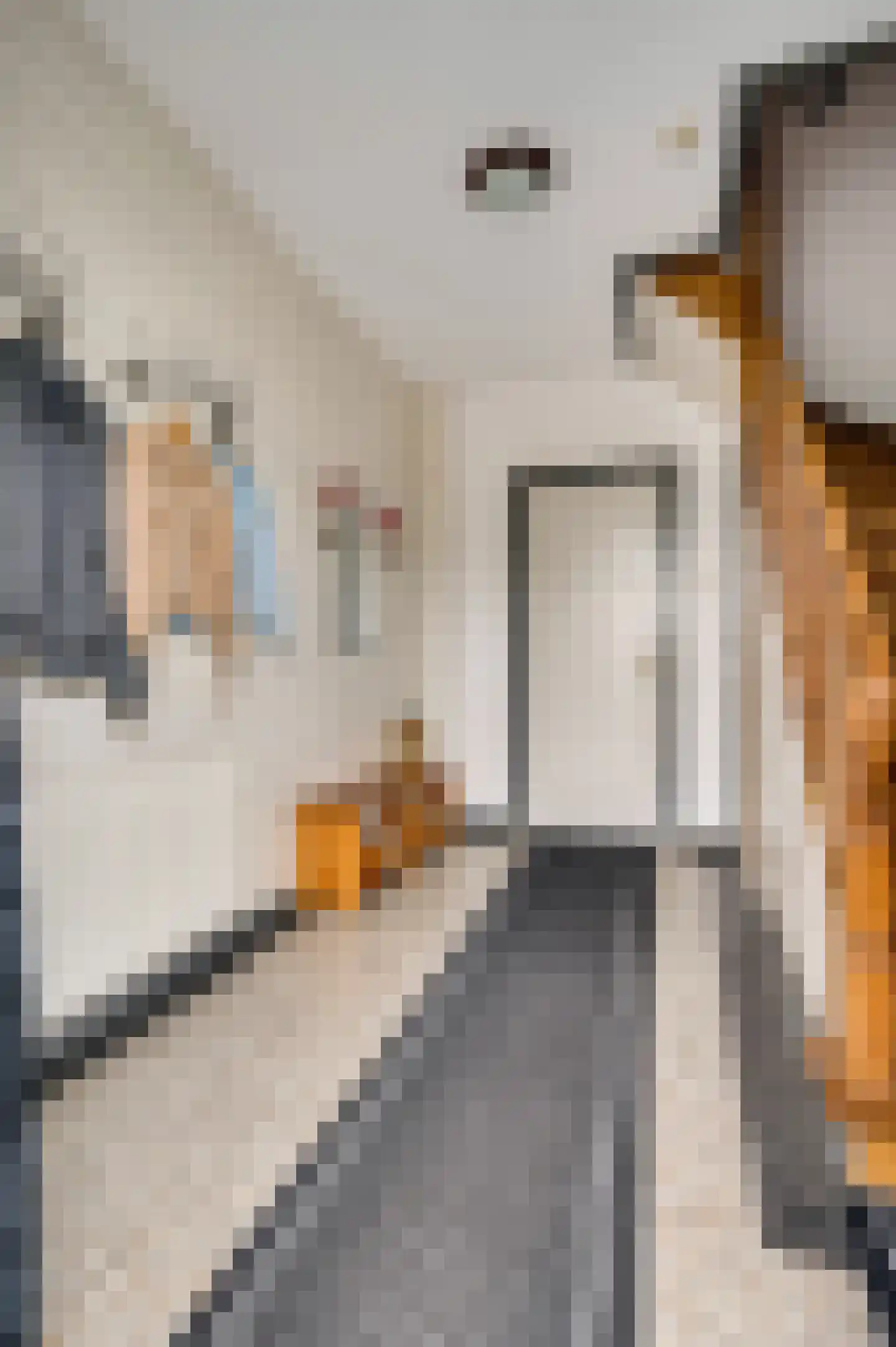Broekstraat 13 Horn thumbnail 6