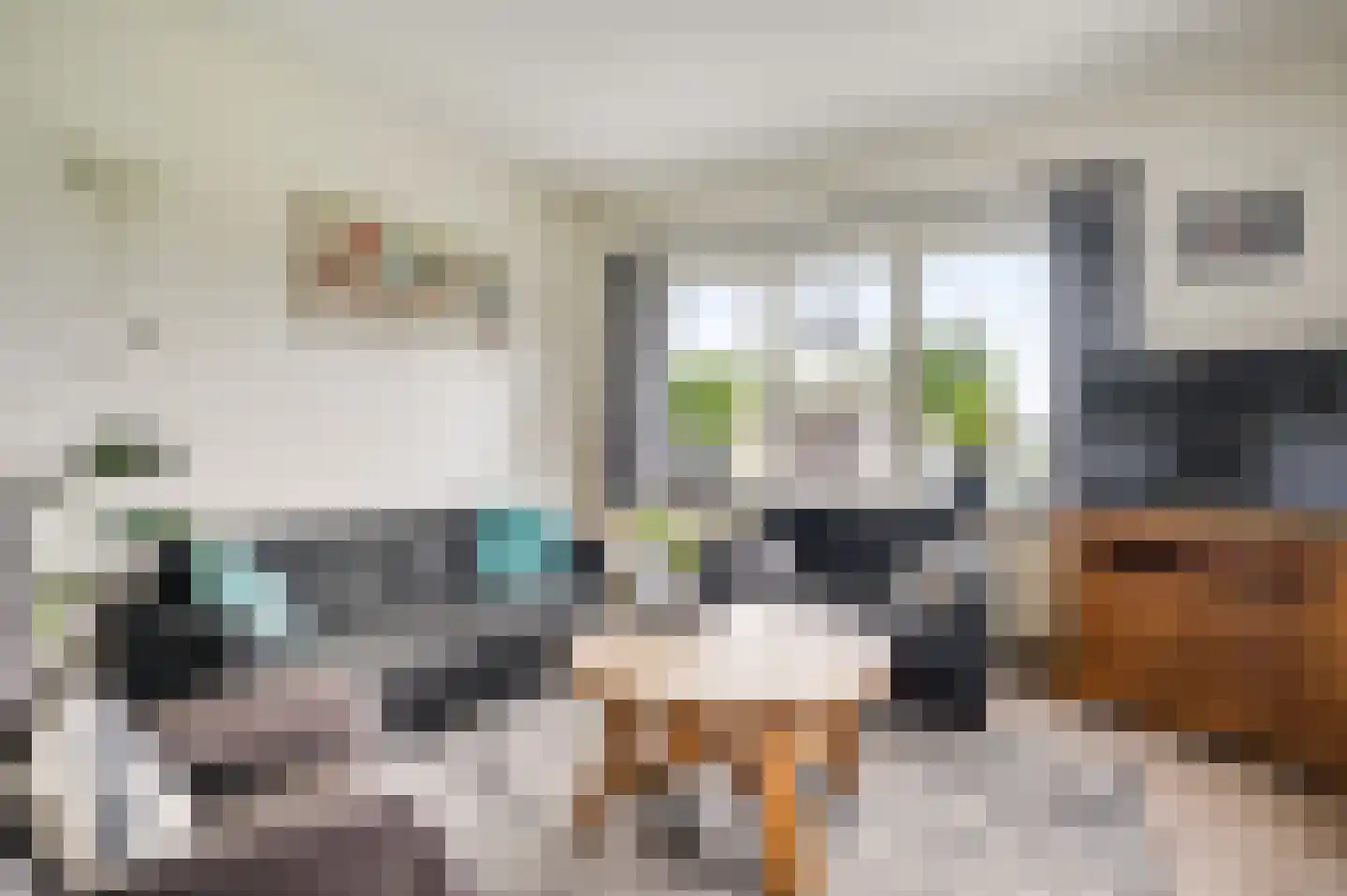Broekstraat 13 Horn thumbnail 8