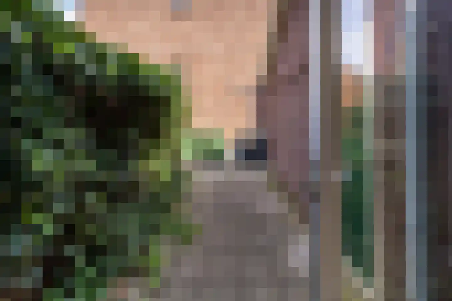 Broekstraat 155 Arnhem thumbnail 27