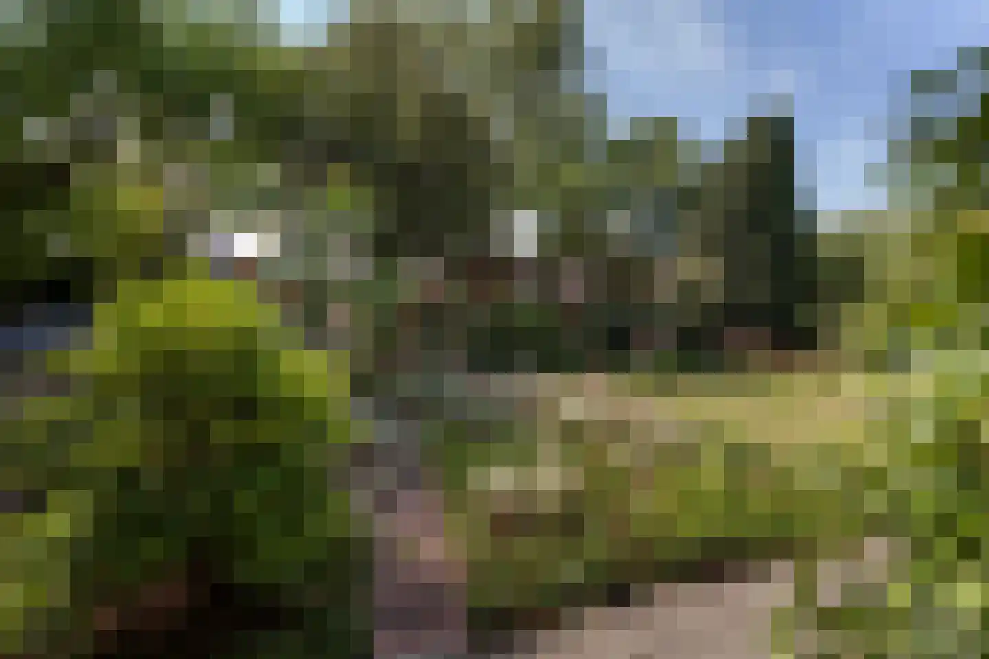 Broekstraat 155 Arnhem thumbnail 29