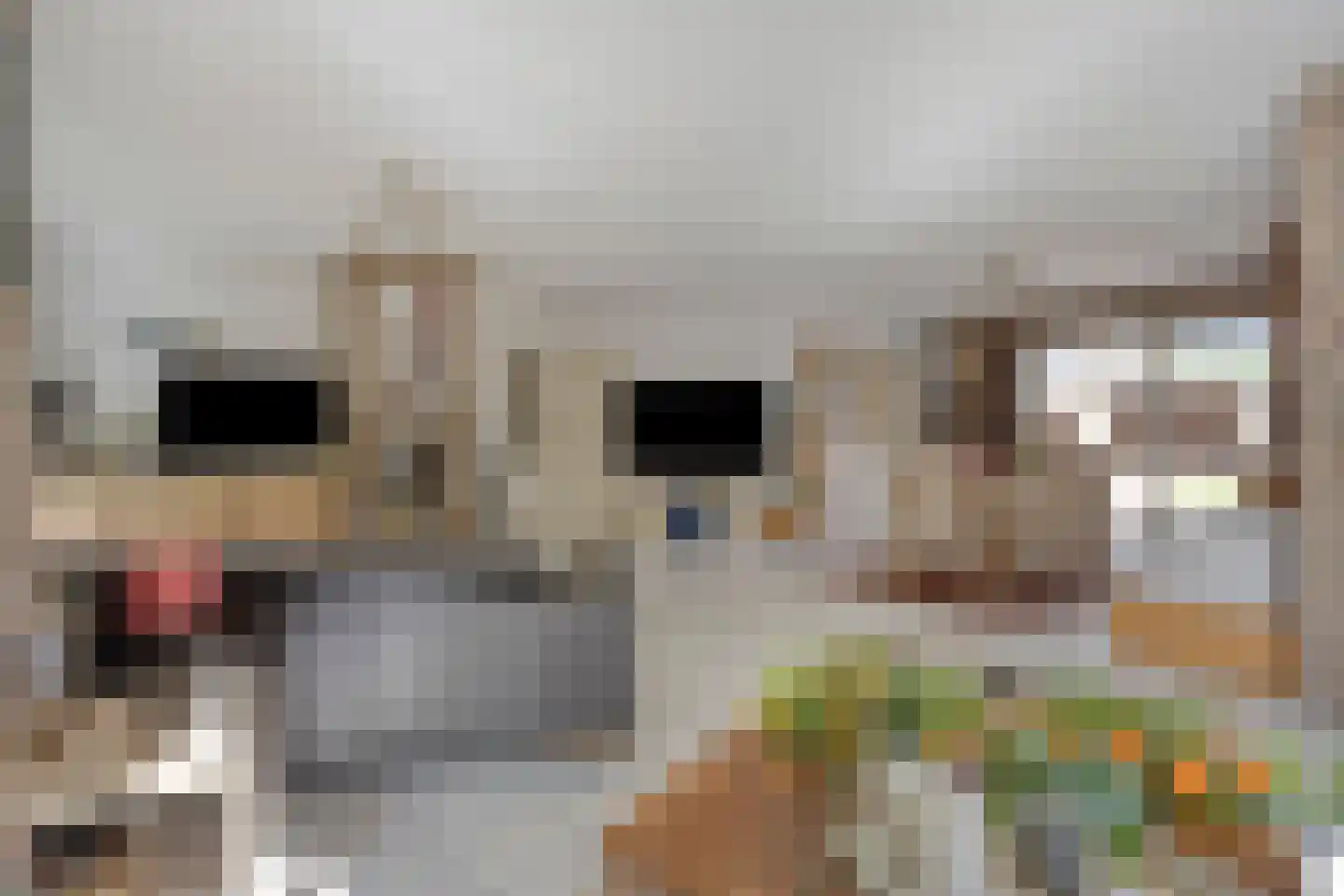 Broekstraat 16 Herpen thumbnail 10
