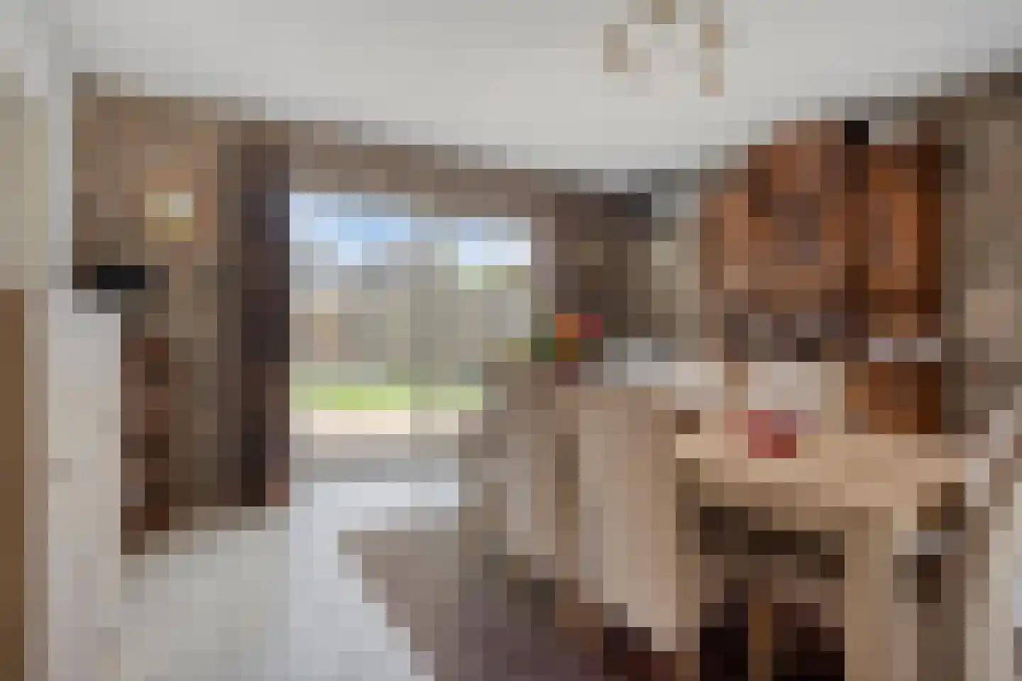Broekstraat 16 Herpen thumbnail 12