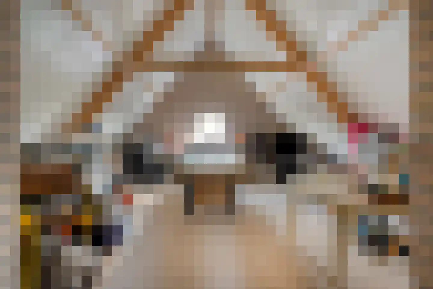 Broekstraat 16 Herpen thumbnail 31