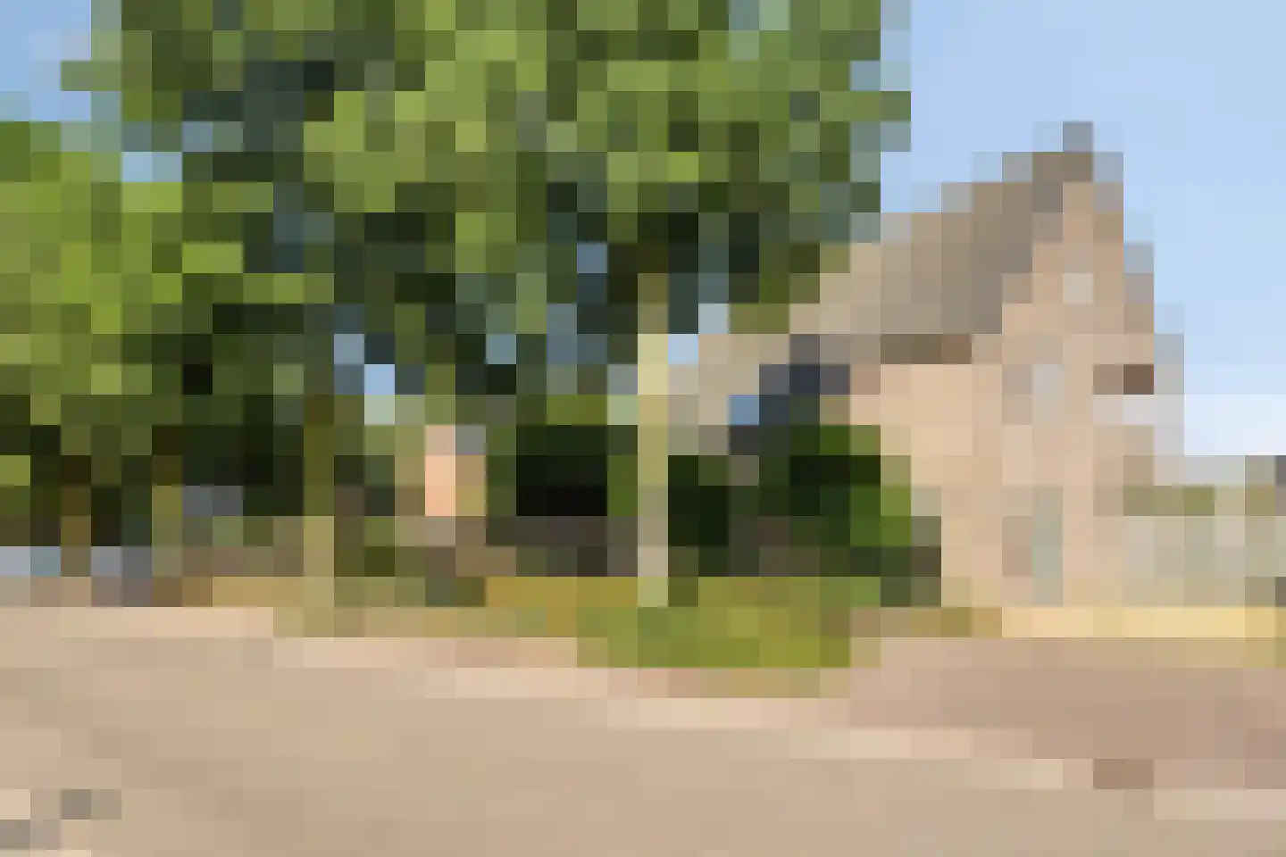 Broekstraat 16 Herpen thumbnail 6
