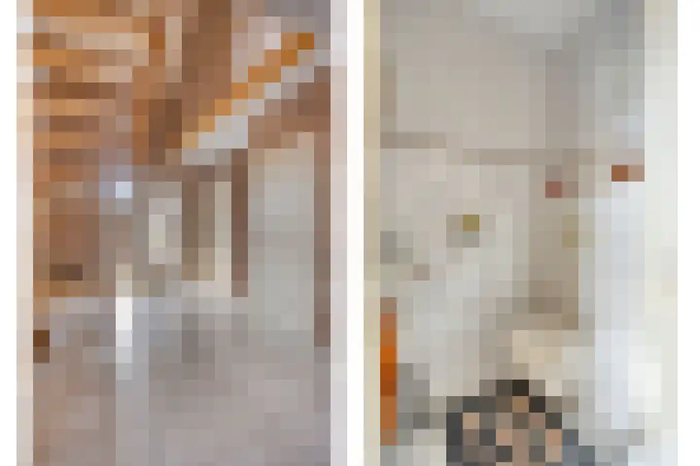 Broekstraat 16 Herpen thumbnail 8