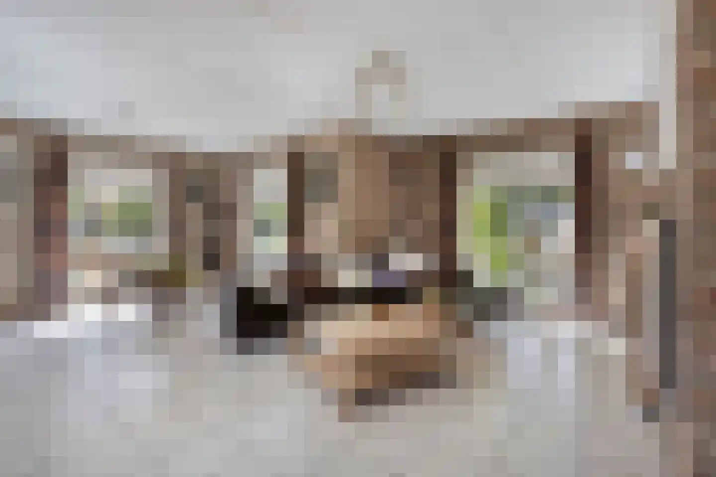 Broekstraat 16 Herpen thumbnail 9