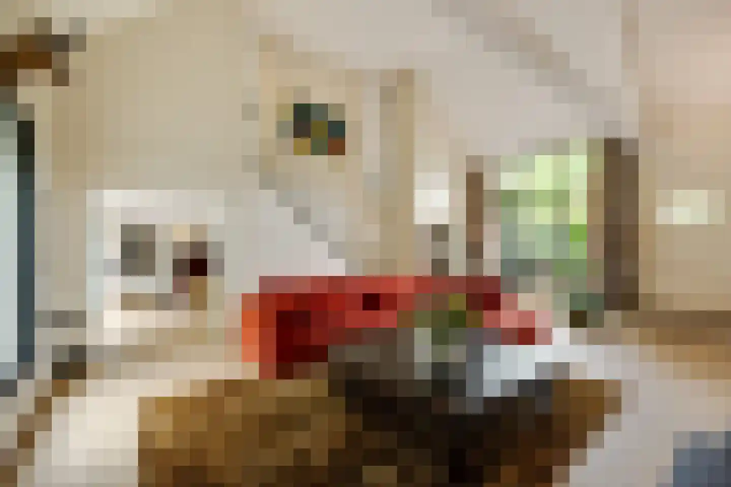 Broekstraat 17 Gemonde thumbnail 11