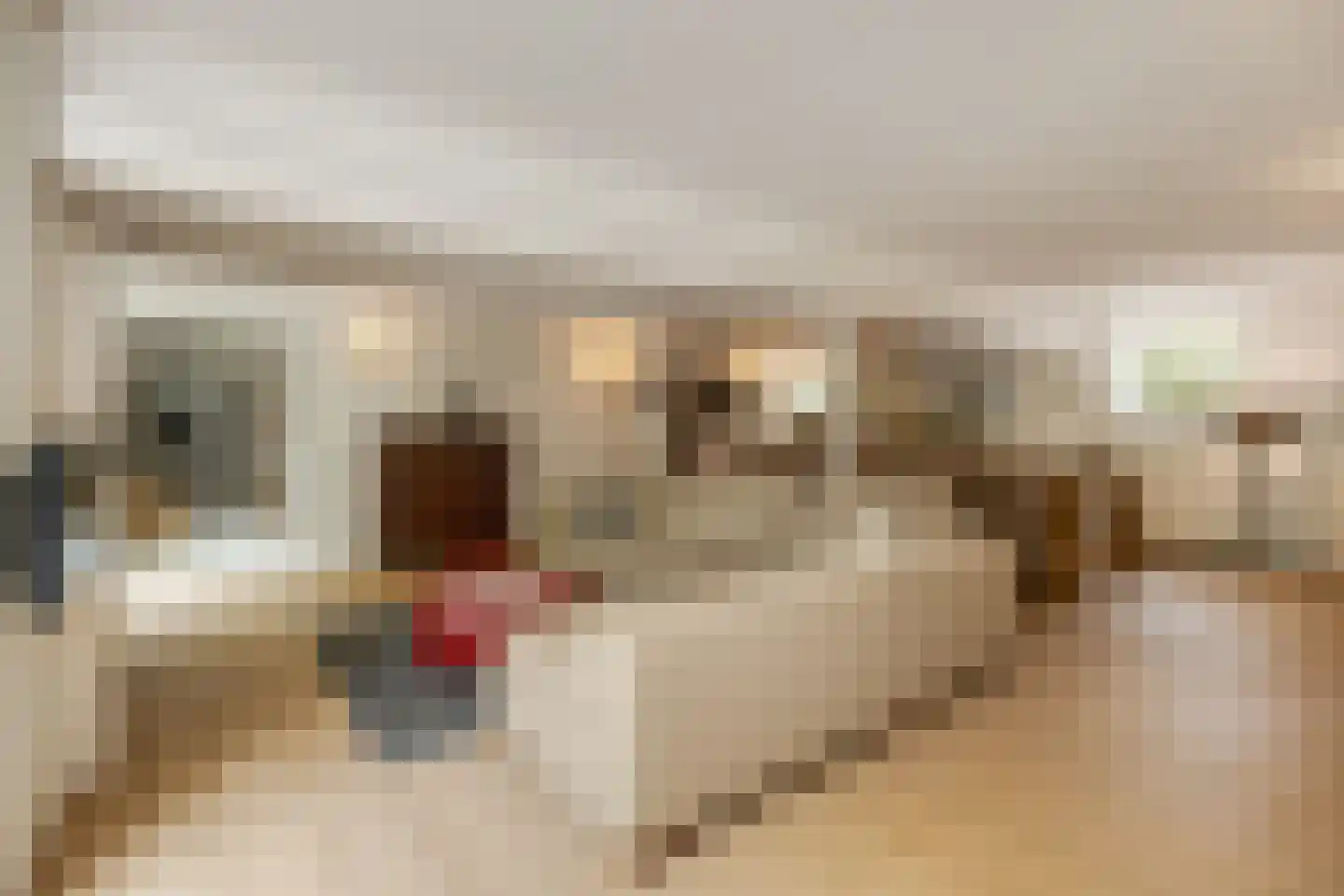Broekstraat 17 Gemonde thumbnail 13