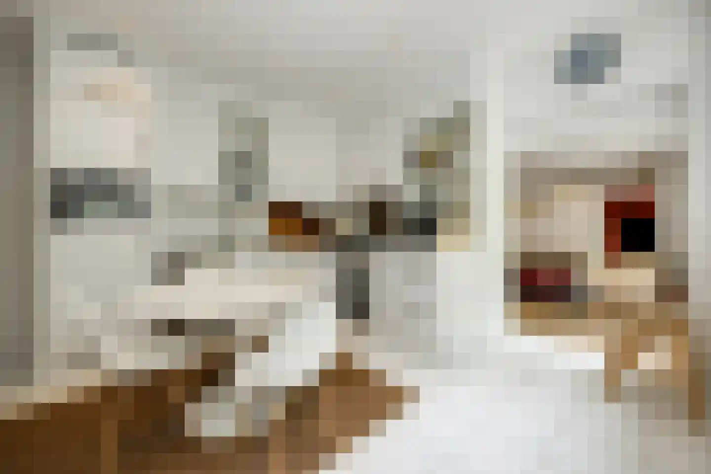 Broekstraat 17 Gemonde thumbnail 14